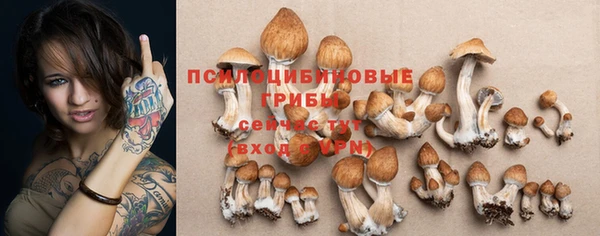 PSILOCYBIN Бугульма